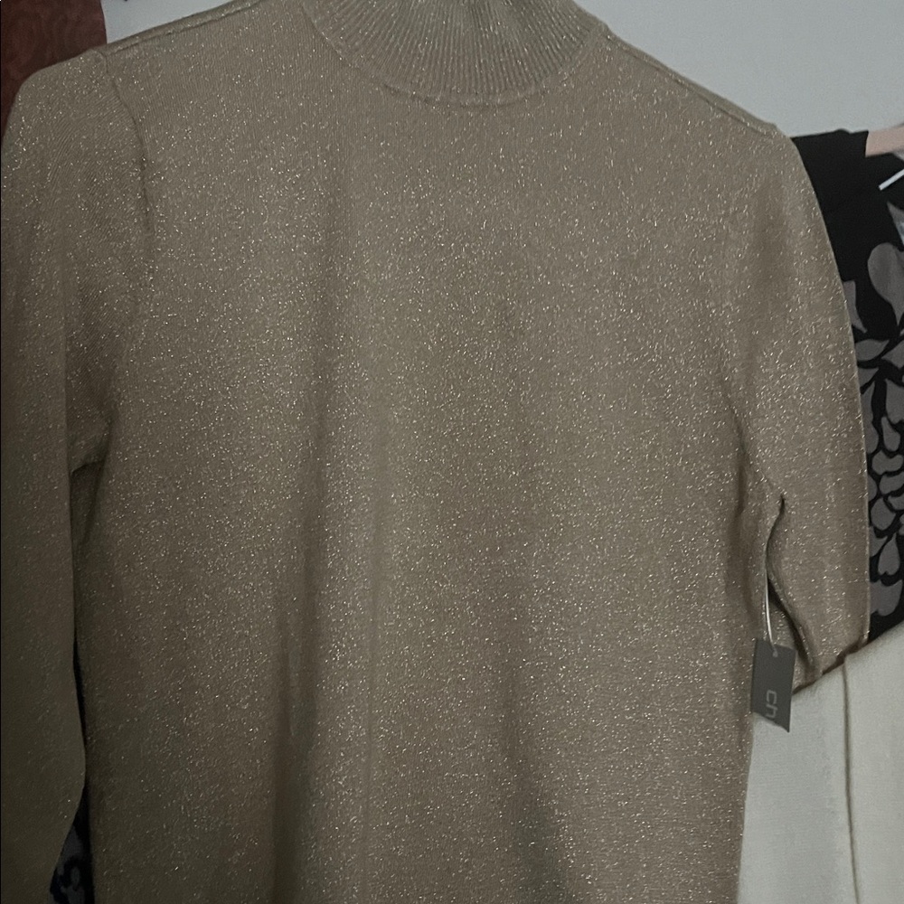 Mock turtleneck size 0 from Chico’s